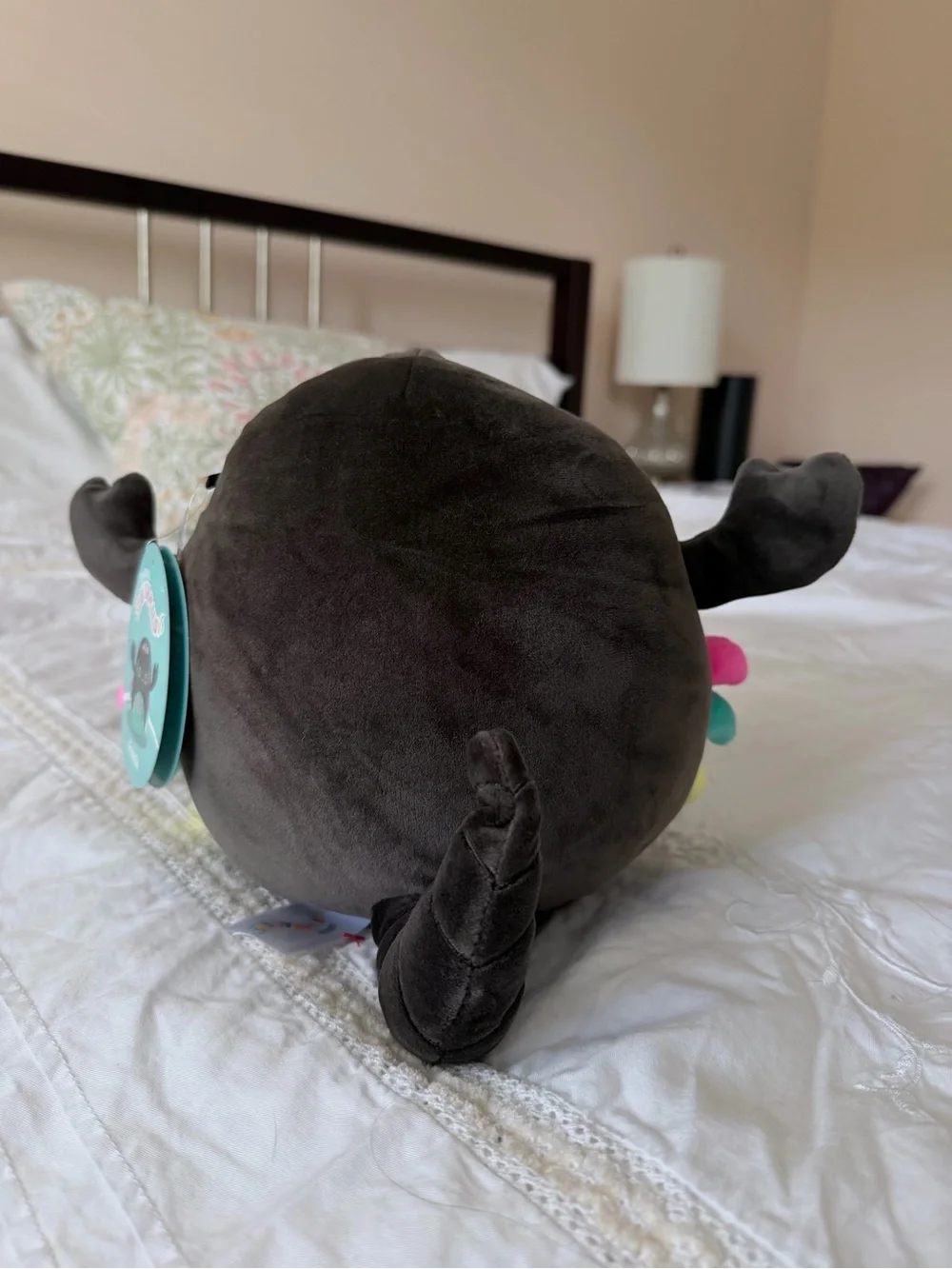 Squishmallows Black Plush Spider with Teal Belly and Multicolor Accents